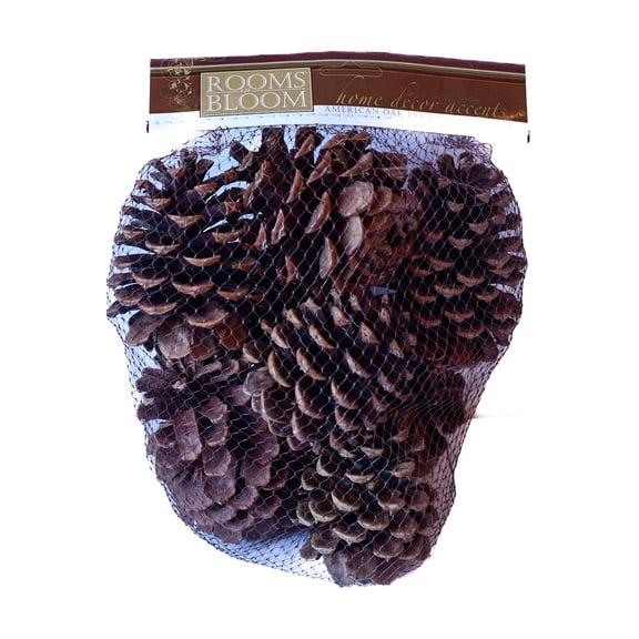 Rooms in Bloom 100% Natural Brown Pinecones Vanilla Scent Pine Cones