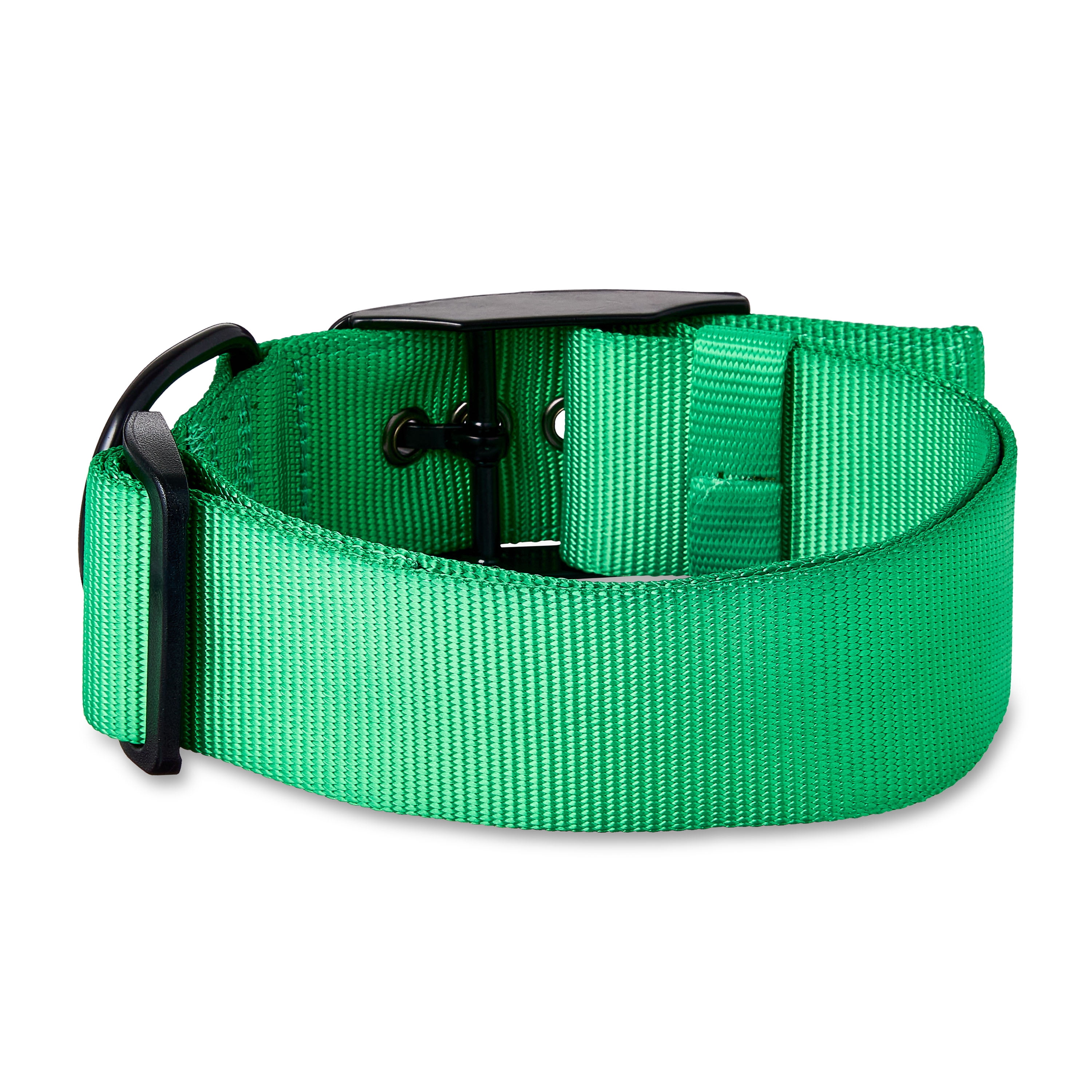 Vibrant Life Polyester Adjustable Dog Collar with Metal Buckle, Green, XL