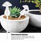 thumbnail image 3 of Inserto De Plantador Autónomo, Forma De Champiñón Vaso Transparente Agua De Agua Globos De Riego Dispositivos De Riego De Plantas Flores Flores Automáticas Dispositivos De, 3 of 7