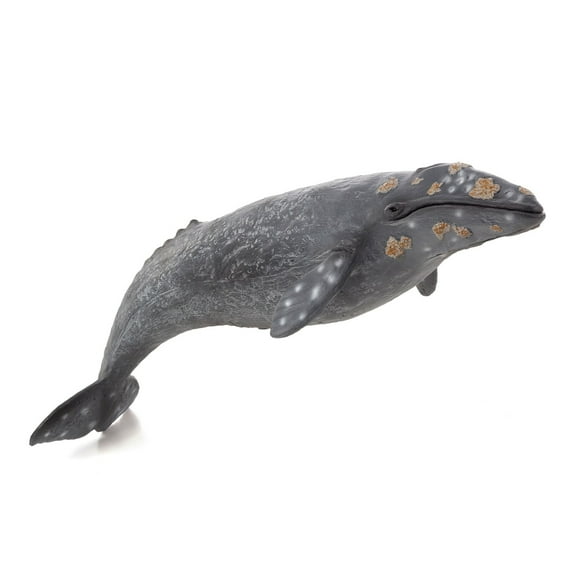 MOJO - Realistic International Wildlife Figurine, Large Grey Whale