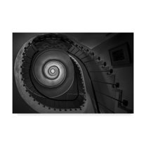 Trademark Fine Art 'Finding Fibonacci' Canvas Art by Brenda Petrella Photography Llc