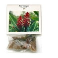 thumbnail image 4 of Live Red Ginger Plant Root 1 Pk (2 Roots Each 2"- 4" Long) Shade, 4 of 7