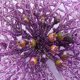 thumbnail image 2 of Decoración navideña con purpurina, flores navideñas moradas, tela artificial hueca, simulación de flores de árbol de Navidad para decoración de bodas, adorno (20 piezas), 2 of 5
