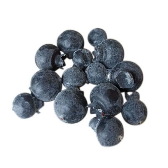 NAMZI artificial blueberries, 50 fake blueberries lifelike simulation blueberries DIY craftsmen kitchen cabinets food photography props