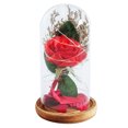 thumbnail image 1 of CAROOTU LED Rose Flower Decor Battery Powered String Light Desk Lamp Romantic Valentine's Day Gift, 1 of 7
