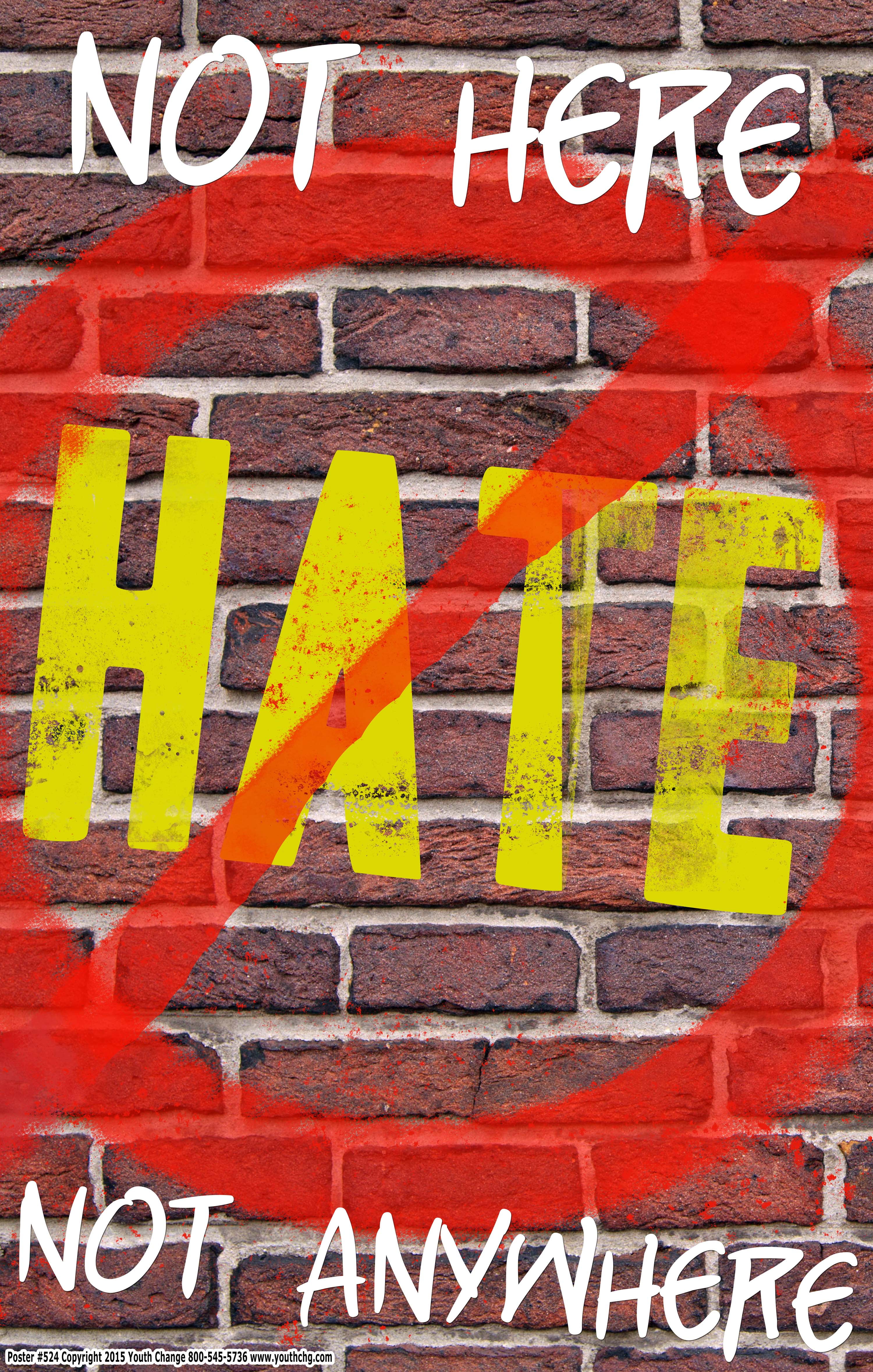 Youth Change Poster #524 Stop Hate Poster for Schools, Classrooms ...