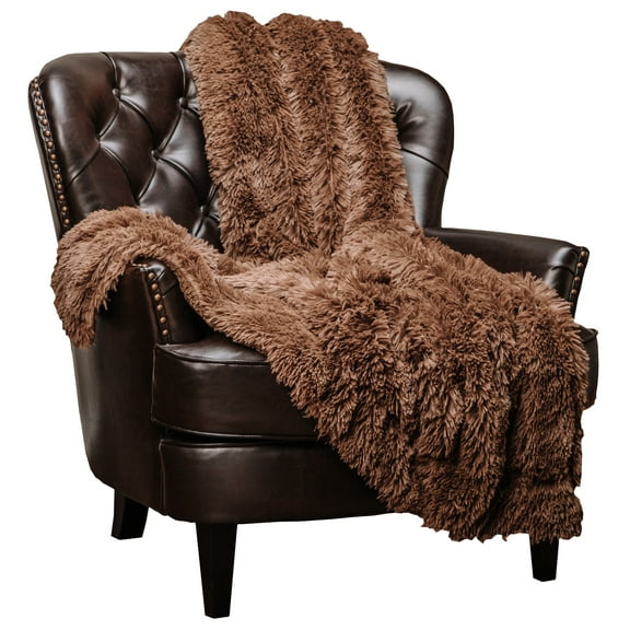 Chanasya Super Soft Shaggy Longfur Throw Blanket | Snuggly Fuzzy Faux Fur Lightweight Warm Elegant Cozy Sherpa Fleece Microfiber Blanket | For Couch Bed Chair Photo Props - 50 "x 65" - Chocolate