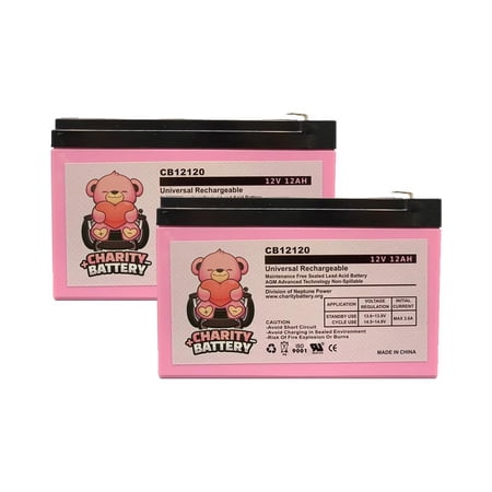 APC BACK-UPS PRO BP650S 12V 12Ah Replacement UPS battery by Charity Battery - 2 pack