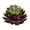 C, variant on ZTTD 1 Pcs Mini Artificial Succulents, Fake Succulents Plants Artificial Small Fake Plants Faux Succulents Unpotted for Lotus Landscape Decorative Garden Arrangement Decor