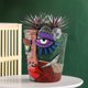 thumbnail image 3 of Maceta de resina, estilo Picasso abstracto, con forma de cara, 750 g, 3 of 4