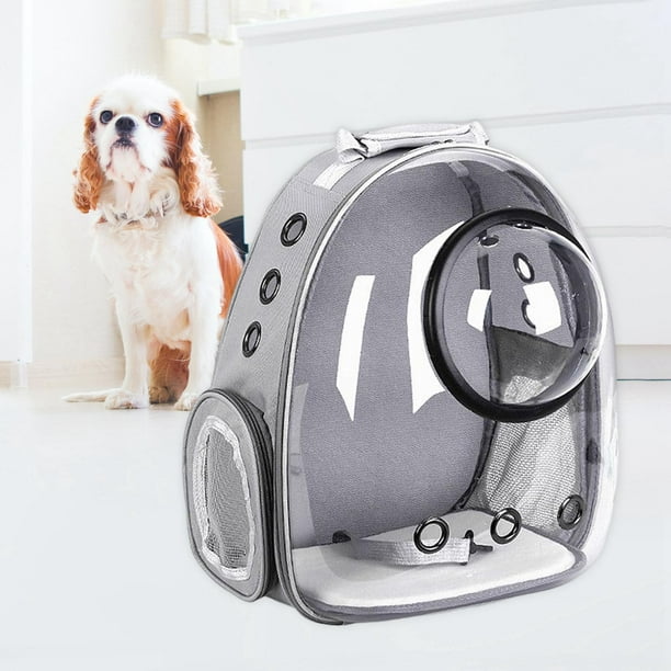Mochilas para perros opiniones hotsell