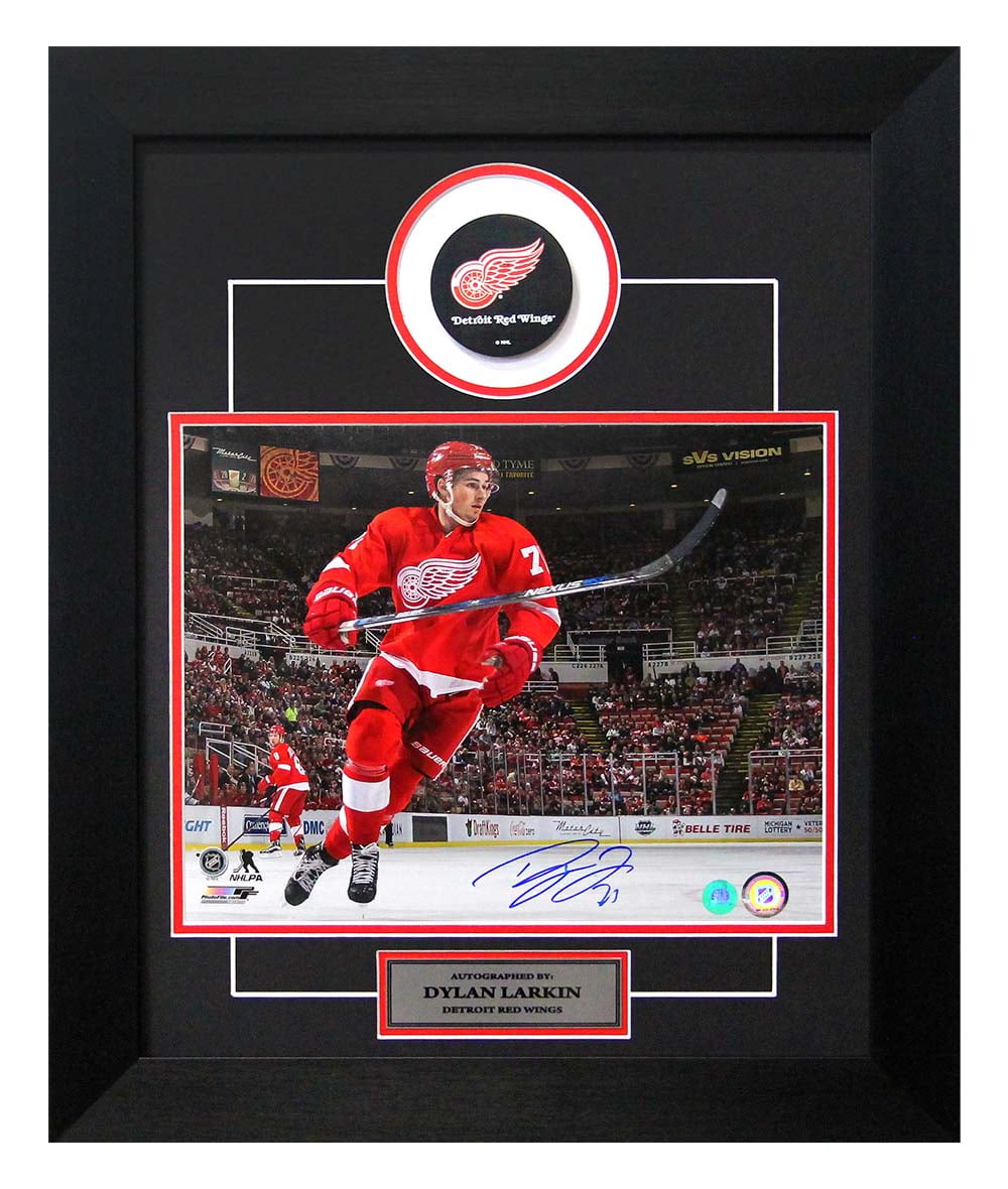 dylan larkin signed jersey
