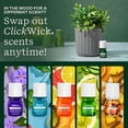 thumbnail image 3 of Lifelines ClickWick Essential Oil Blends for Lifelines Diffusers, 3-Pack in Bloom Set - Essential Oil Blend Refill for Candle, Plant & Shower Aromatherapy Diffuser - Fragrance for Diffusers, 3 of 5