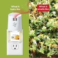 thumbnail image 5 of Scent Fill Honeysuckle Plug in Air Freshener, Scented Oil Refills, 2 Refills + Diffuser, 5 of 6