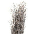 thumbnail image 4 of Northlight Natural Twig Bundle Christmas Decoration - 15", 4 of 8