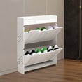 thumbnail image 3 of DENEST 2 -Tier Shoe Rack Entryway Corridor Ultra-Thin Shoe Storage Organizer Cabinet, 3 of 12