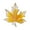 Light Yellow, variant on Women Brooch Sunflower Maple Leaf Apricot Leaf Clothes Pin Realistic Electroplated Polished Exquisite Prom Party Coat Shirt Dress Brooch