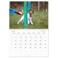 thumbnail image 6 of Flying dogs in agility (Monthly Wall Calendar 2026 16.5 x 23.4 (open)), CALVENDO 14 Month Calendar, 6 of 9