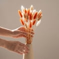 thumbnail image 4 of Cheapark 60 Pieces Bunny Tail Preserved Flowers Dried Flower Stems Decorative Florals for Vase Arrangement Home Decor Gift, 4 of 7