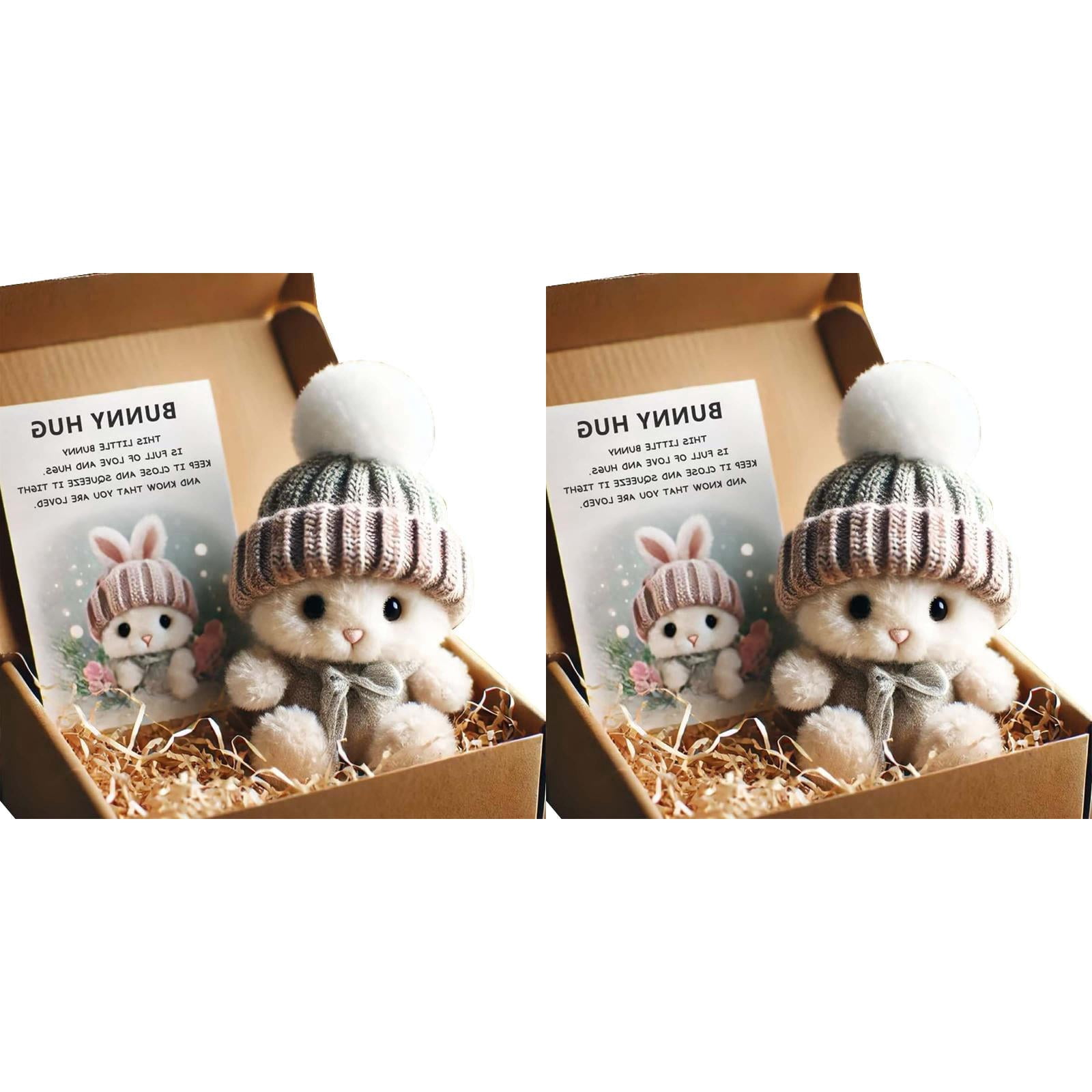 Mini Bunny Hug Cute Easter Gift Plush 2026 Bunny in a Box Hugs Positive Bunny Stuffed Animal Rabbit Soft Floppy Easter Ideas Bunnies Basket Stuffers Doll Emotional Support Inspirational Gifts