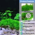 thumbnail image 3 of 2 piezas para decoración de peceras, plantas de plástico para peceras, decoración de plantas de plástico para peceras., 3 of 5