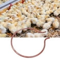 Farm Round Animal Incubator Heating Tube Chicken Poultry Hatching Tool