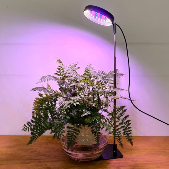 Pluokvzr Grow Light for Indoor Plant Full Spectrum 10 Level Brightness Dimming 3 Cycle Timer Mode 6.7-24.8 Inch Height Adjustable and 180° Rotatable Pole LED Grow Light