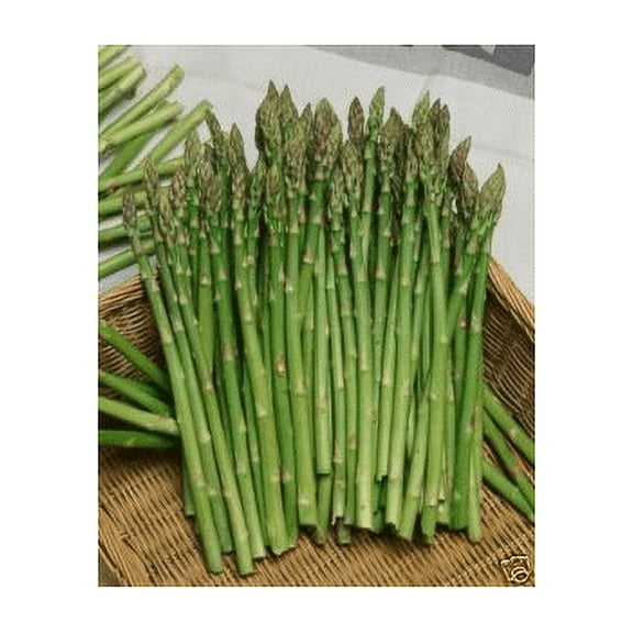 Asparagus Mary Washington Great Heirloom Vegetable By Seed Kingdom BULK 1 Lb Seeds