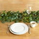thumbnail image 4 of Colorful Acrylic Bird Pendant Decorations for Garden Flower Pots and Home Interior, 4 of 7