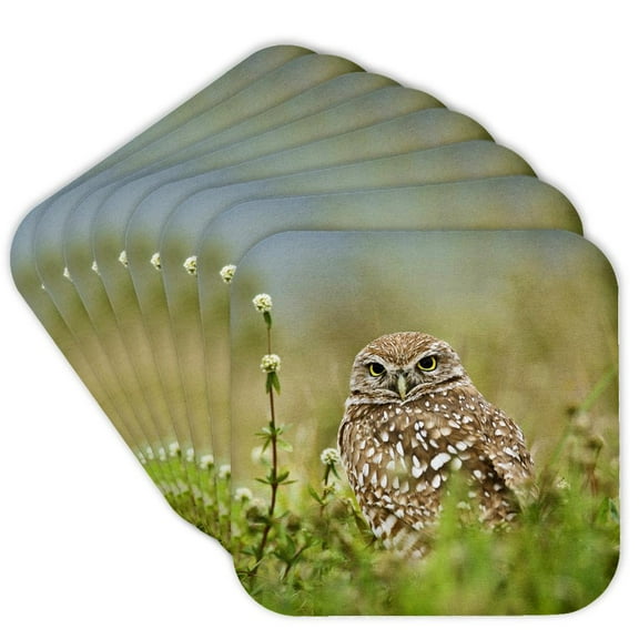 3drose, Burrowing Owl, Cape Coral, Florida - Us10 Aje0205 - Adam Jones, Set of 8 Coasters - Cork