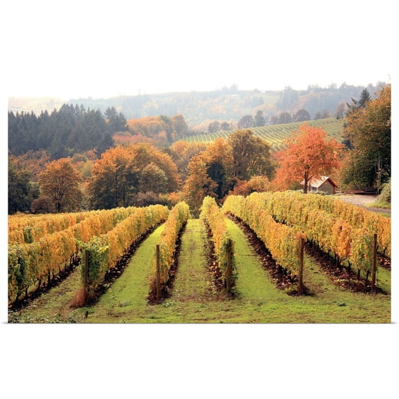 Great BIG Canvas | "Bella Vida I" Art Print - 24x16