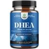 Pure DHEA Supplement for Women and Men - 100mg per serving Thyroid Support Health Immune Support Bone Health and Mood Support Supplement - DHEA Energy Supplement and Potent Supplement