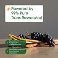 thumbnail image 4 of NatureBell Resveratrol - 180 Vegetarian Capsules - 1,000mg Polygonum Cuspidatum Extract - Antioxidant Support - Heart, Brain & Immune Wellness - 60 Servings, 4 of 8