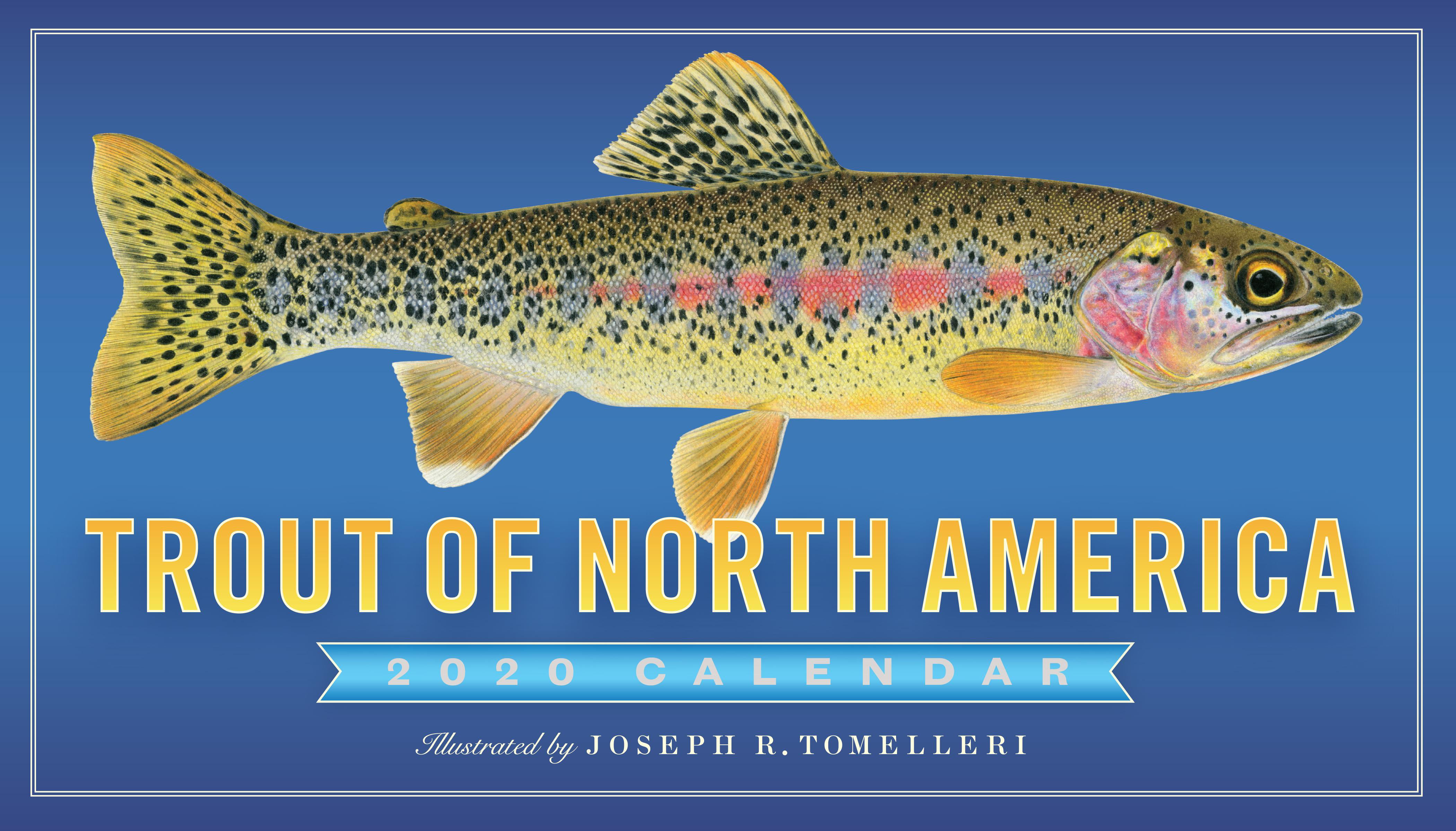 trout-of-north-america-wall-calendar-2020-other-walmart-walmart
