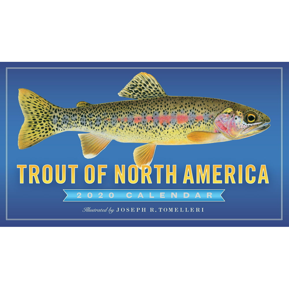 trout-of-north-america-wall-calendar-2020-other-walmart