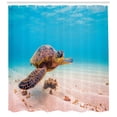 thumbnail image 3 of Ambesonne Hawaiian Shower Curtain, Sea Turtle Underwater, 69"Wx84"L, Aqua Cinnamon Brown, 3 of 3