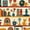 Color 2, variant on Retro Peel and Stick Wallpaper 17.7in x 9.8ft Vibrant Retro Cassette Tapes Seamless Contact Paper Vinyl Waterproof Self Adhesive Wall Paper for Bedroom Shelf Cabinet Renter Friendly