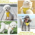 thumbnail image 2 of Soft Small Dog Harness and Leash Set Mesh Puppy Harnesses Leash Easy Walk Dog Harness Vest Adjustable Reflective No Pull Dog Harnesses for Small Dogs Cats, 2 of 7