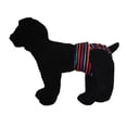 thumbnail image 2 of Barkertime Stripes on Black Washable Dog Diaper - Made in USA, 2 of 10