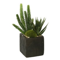 Vickerman 8" Artificial Green Succulent Arrangement, Pack of 2