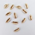 thumbnail image 2 of Charm INSPIRELLE 12 unidades de conchas marinas naturales doradas de 1,8 a 2,2 cm, 2 of 7