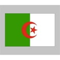 thumbnail image 1 of World Flag F001315 Algeria Flag, 1 of 1