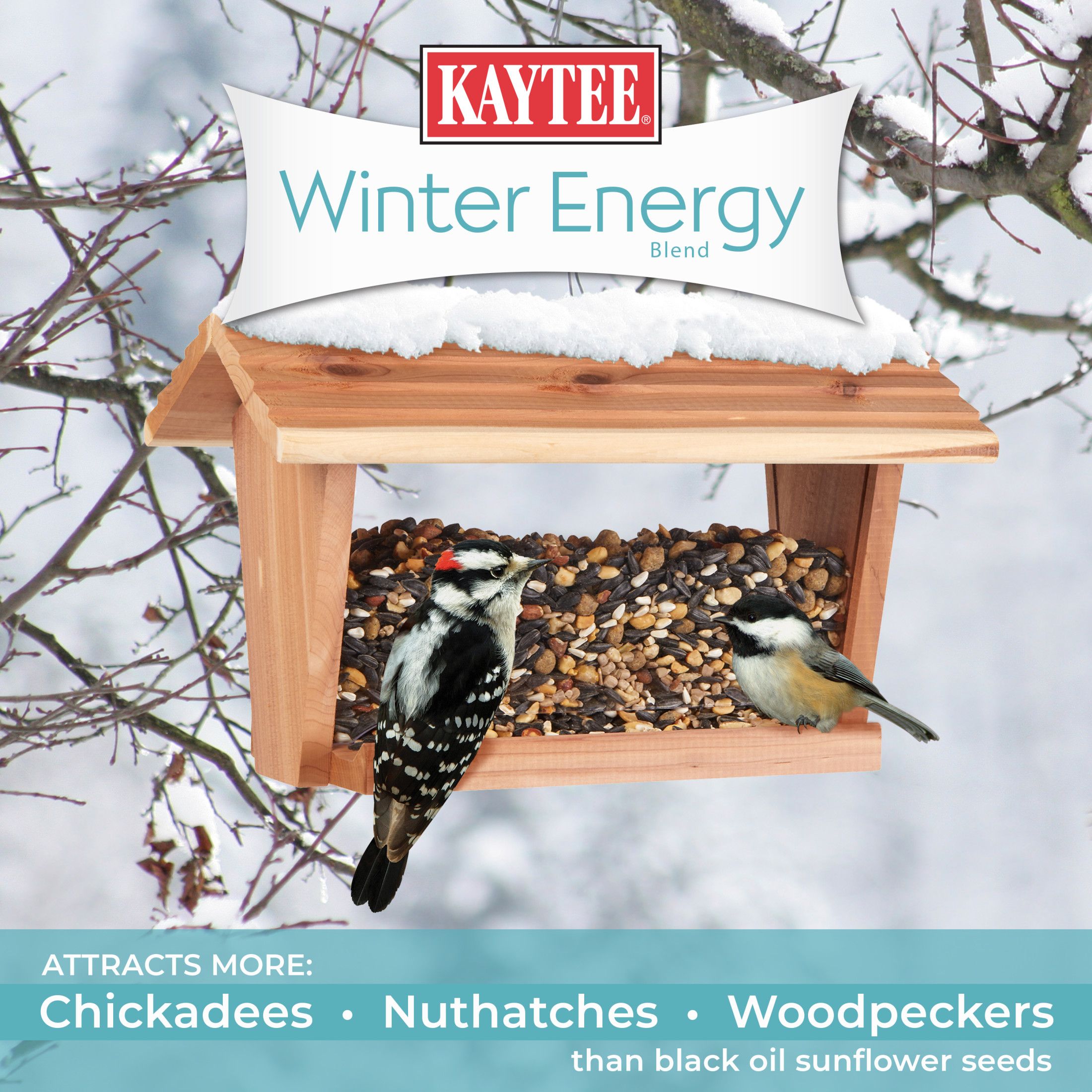 Kaytee Winter Energy Blend 8 lbs