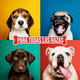 thumbnail image 5 of Shampoo para perro DOG-O-CHEW Hidratante para Cachorros 4 litros, 5 of 5