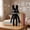 Black Bunny, variant on 9.06" Game Animal Hospital Plush Doll, Lovely Barney Stuffed Animal for Movie Night, Cuddly Soft Plushies Toys Throw Pillow, Funny Gifts for Birthday Emotional Support Plush Toys
