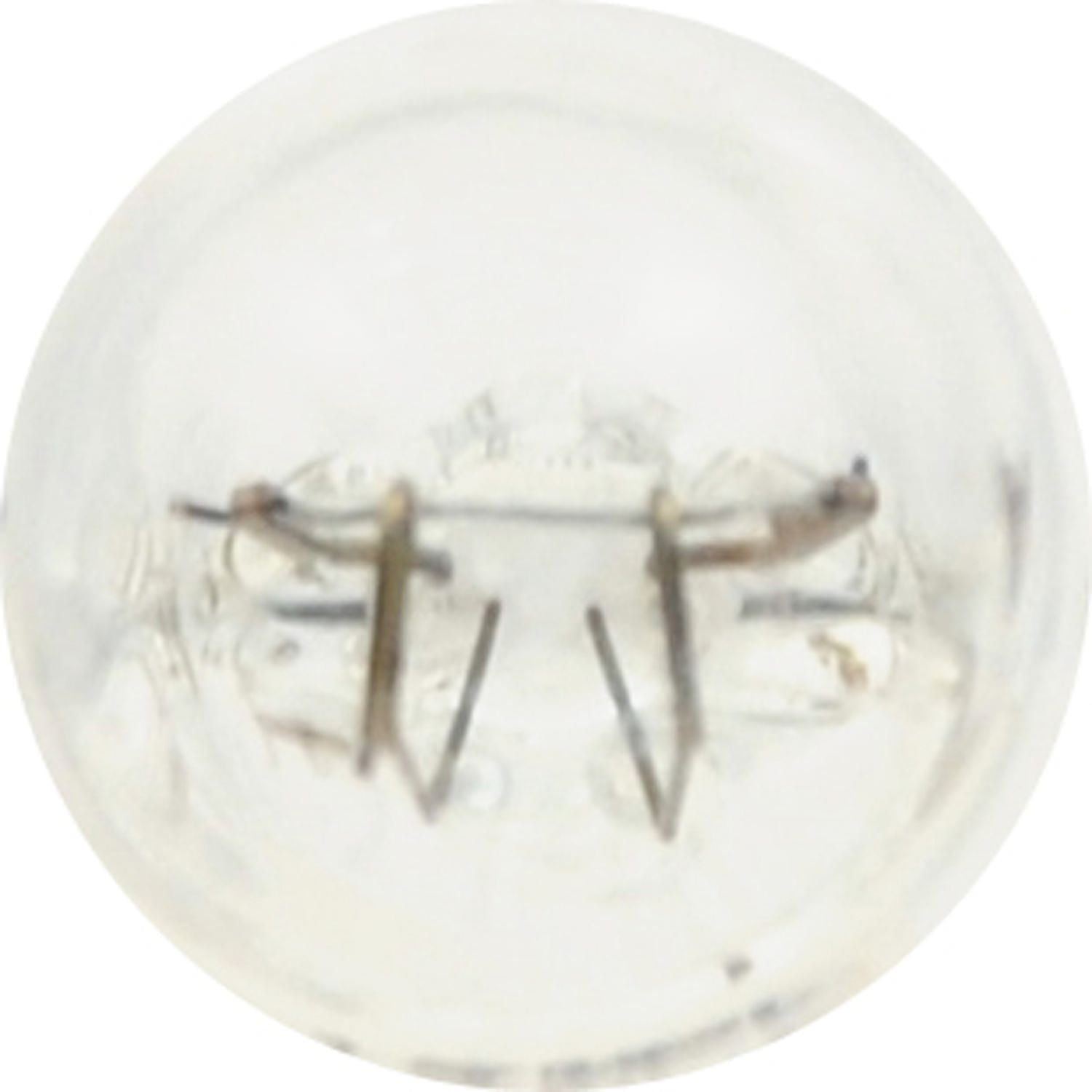 Mini lampes à longue durée 161 de SYLVANIA