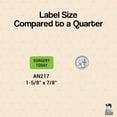 thumbnail image 4 of Surgery Today Veterinarian Care Instruction Veterinarian Stickers, , 1-5/8" x 7/8", Fluorescent Green, 560/Roll, Tabbies Vet V-AN217, 4 of 7