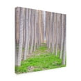 thumbnail image 2 of Trademark Fine Art 'Poplar Forest Square' Canvas Art by Jason Matias, 2 of 3