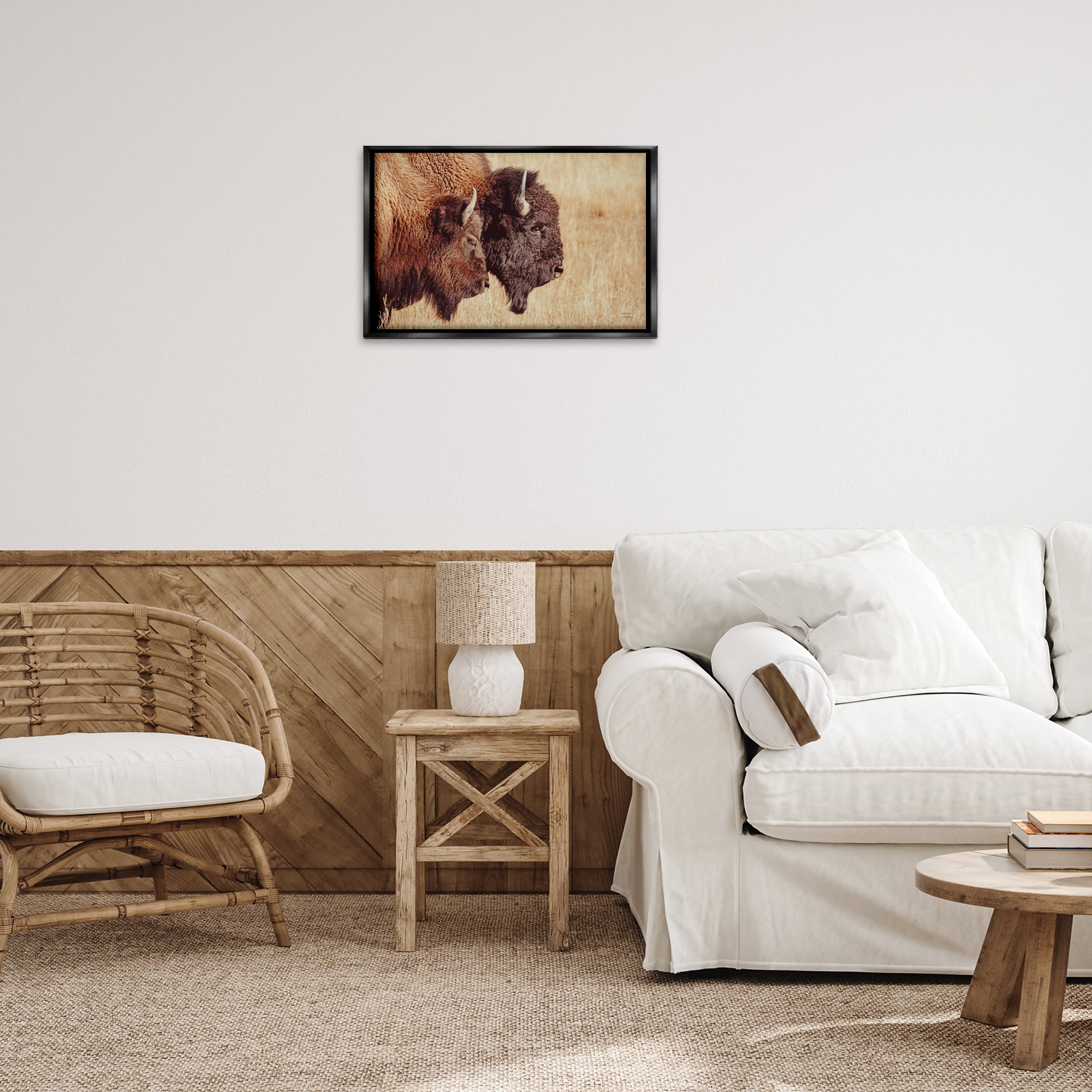 Stupell Industries Bison Pair in Countryside Animals Photography Black Floater Framed Canvas Art Print Wall Art, 25 x 17