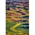 thumbnail image 2 of Jaynes Gallery 11x14 Black Ornate Wood Framed with Double Matting Museum Art Print Titled - Washington State-Palouse Steptoe Butte at sunset, 2 of 4